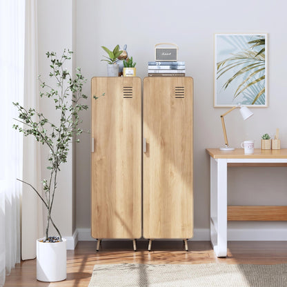 Walnut Metal Storage Locker